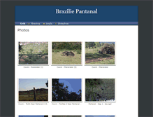 Tablet Screenshot of braziliepantanal.elreydelripio.fastmail.fm